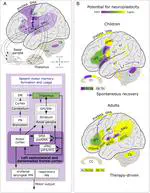 Stuttering- Our Current Knowledge, Research  Opportunities, and Ways to Address Critical Gaps